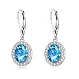 Halo Series Earrings Leverback Earrings with Crystal